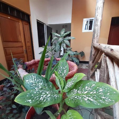 موشي The Belle View Inn Bed & Breakfast المظهر الخارجي الصورة